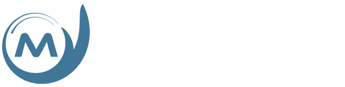 网站开发